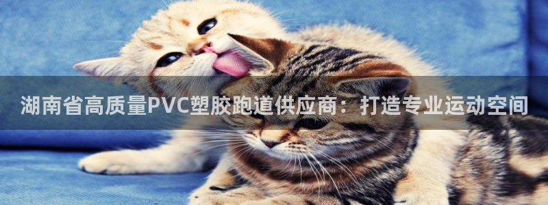 尊龙凯时网娱乐最新版：湖南省高质量PVC塑胶跑道供应商：打造专业运动空间