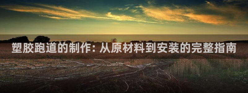 尊龙凯时新闻：塑胶跑道的制作: 从原材料到安装的完整指南
