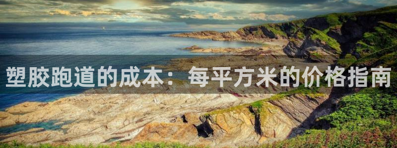凯时ag旗舰厅：塑胶跑道的成本：每平方米的价格指南