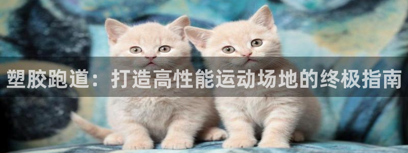 尊龙官网登录·(中国)官方网站-bd SPORTS：
