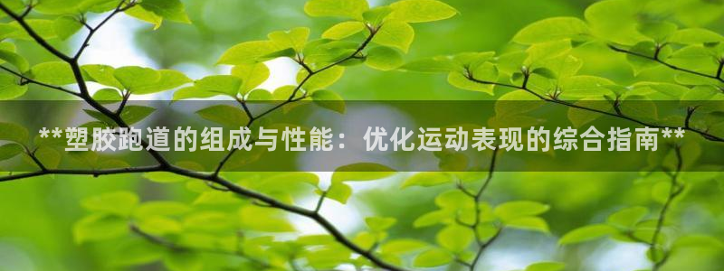 尊龙手机客户端下载：**塑胶跑道的组成与性能：优化运动表现的综合指南**