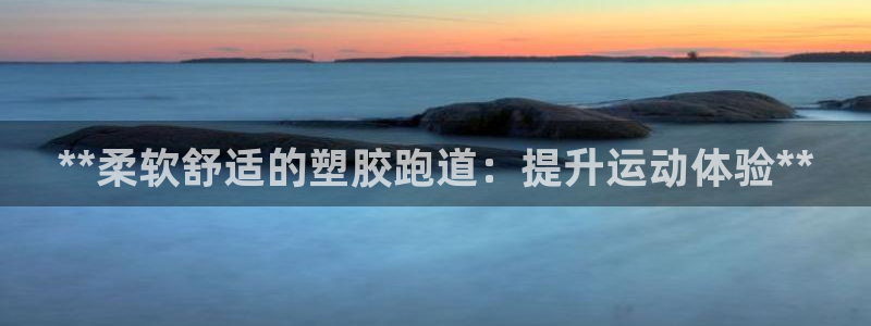 d88尊龙官网手机app：**柔软舒适的塑胶跑道：提升运动体验**