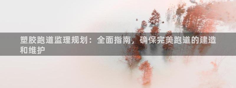 尊龙ag旗舰厅登录 租车app下载：塑胶跑道监理规划