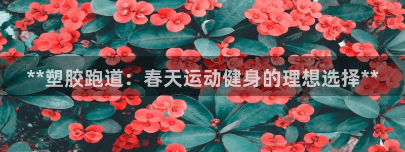 尊龙app官网登录：**塑胶跑道：春天运动健身的理想选择**