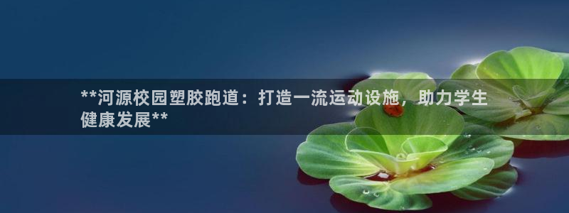 尊龙官网APP下载：**河源校园塑胶跑道：打造一流运动设施，助力学生
健康发展**