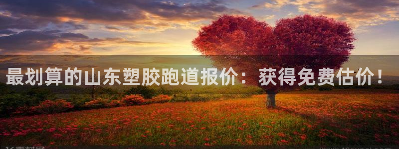 尊龙官方平台是正品吗：最划算的山东塑胶跑道报价：获得免费估价！