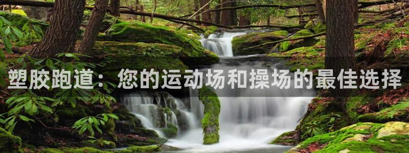 尊龙eight is enough：塑胶跑道：您的运动场和操场的最佳选择