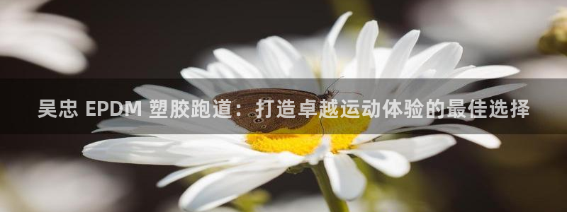 尊龙官网APP下载：吴忠 EPDM 塑胶跑道：打造卓