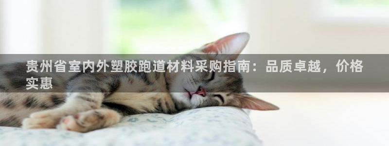 凯时ag旗舰厅：贵州省室内外塑胶跑道材料采购指南：品质卓越，价格
实惠