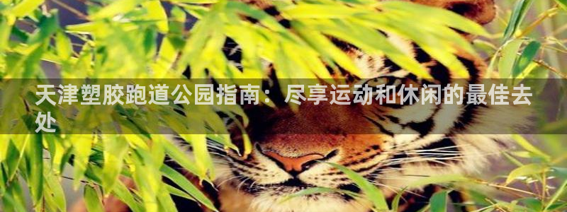 ZL尊龙凯时平台：天津塑胶跑道公园指南：尽享运动和休