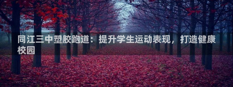 尊龙凯时老板：同江三中塑胶跑道：提升学生运动表现，打造健康
校园