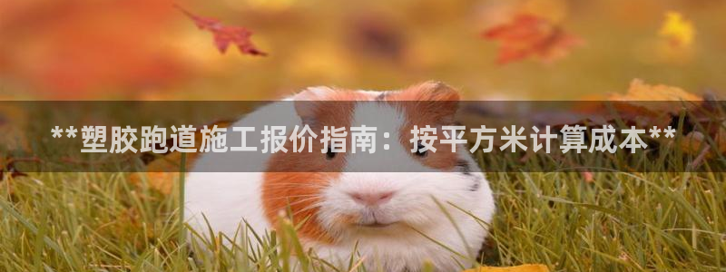 尊龙凯时和九游会哪个平台好一点：**塑胶跑道施工报价指南：按平方米计算成本**