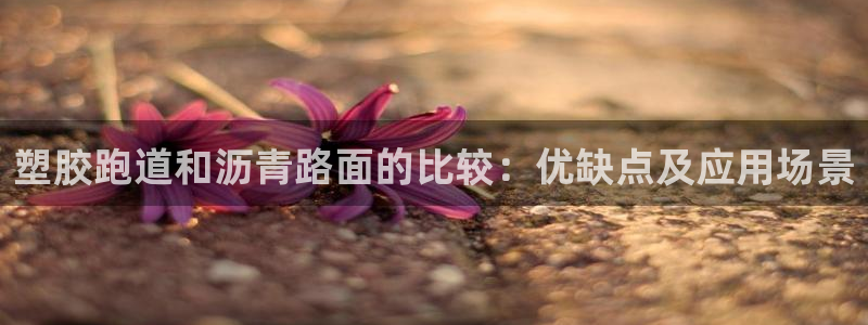 尊龙d88官网登录：塑胶跑道和沥青路面的比较：优缺点及应用场景