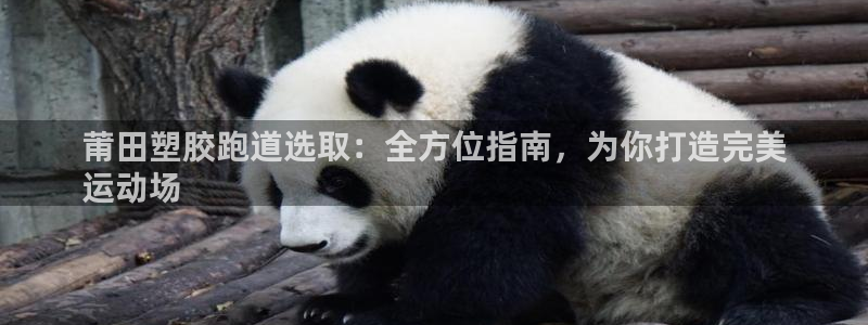 尊龙游戏官方网：莆田塑胶跑道选取：全方位指南，为你打