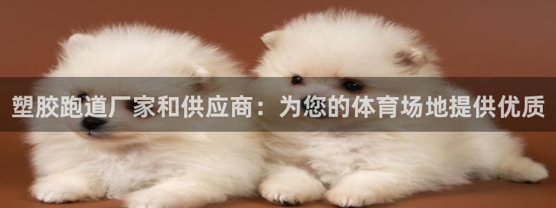 尊龙体育怎么样：塑胶跑道厂家和供应商：为您的体育场地提供优质
