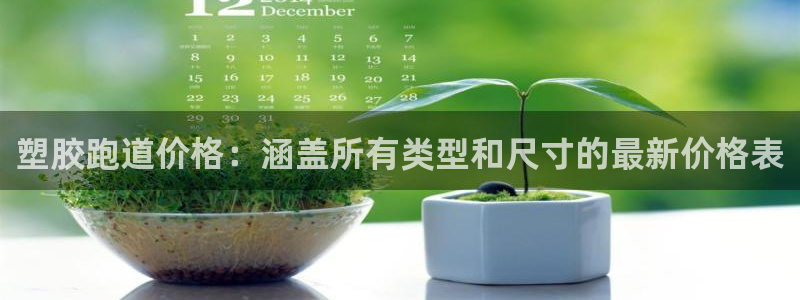 尊龙凯时为什么不封：塑胶跑道价格：涵盖所有类型和尺寸的最新价格表