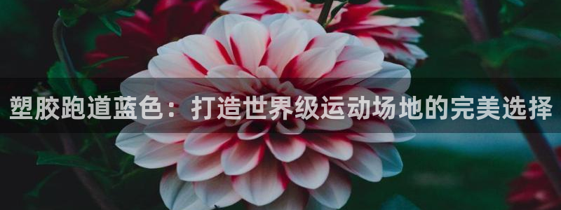尊龙t400和尊龙t300区别：塑胶跑道蓝色：打造世界级运动场地的完美选择