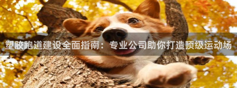 尊龙凯时网站赌愽做假吗：塑胶跑道建设全面指南：专业公司助你打