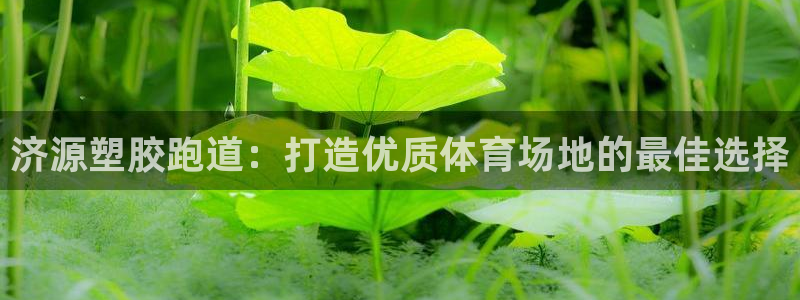 尊龙人生就要博旧版
