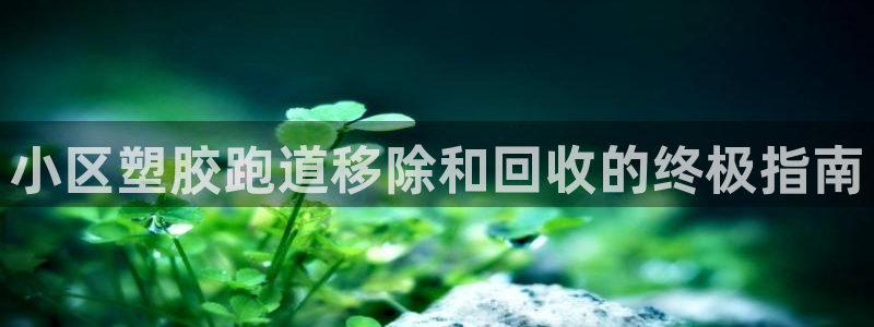 尊龙凯时美金能提取吗