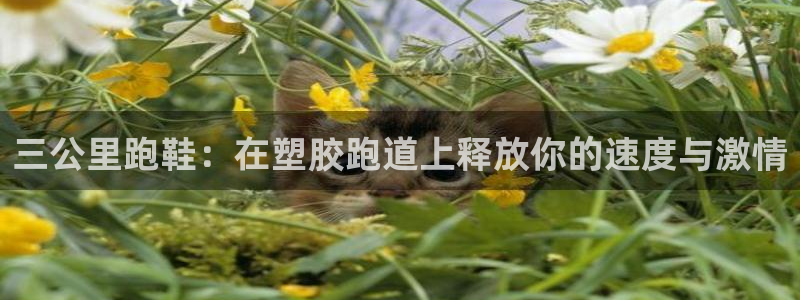 尊龙ag旗舰厅登录 租车app下载
