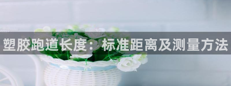 尊龙d88现金旧版本：塑胶跑道长度：标准距离及测量方法