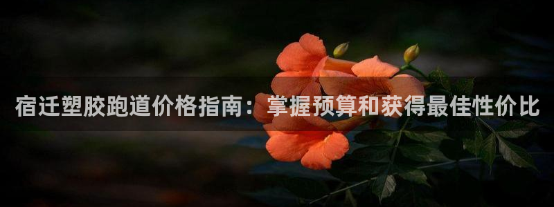 尊龙凯时不给提现怎么办：宿迁塑胶跑道价格指南：掌握预