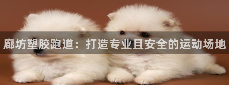 尊龙凯时邀请码