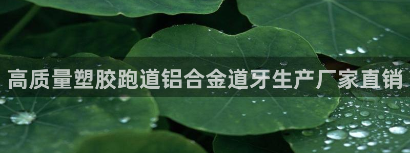 z6尊龙凯时集团：高质量塑胶跑道铝合金道牙生产厂家直销