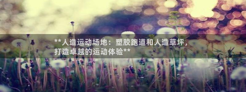 尊龙165：**人造运动场地：塑胶跑道和人造草坪，
