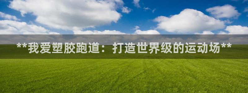 尊龙会ktv价格：**我爱塑胶跑道：打造世界级的运动场**