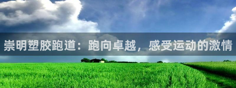尊龙凯时开发：崇明塑胶跑道：跑向卓越，感受运动的激情
