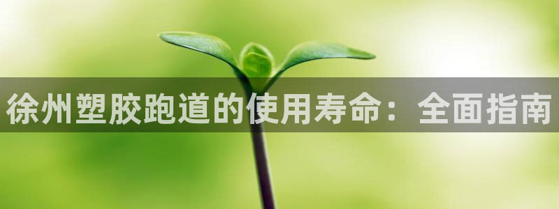 尊龙人生就是博d88官方网站：徐州塑胶跑道的使用寿命：全面指南