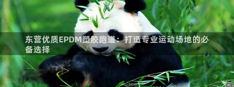 尊龙ag旗舰官网：东营优质EPDM塑胶跑道：打造专业运动场地的必
备选择