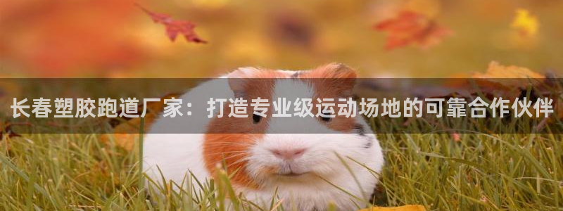 尊龙d88皆选ag发财网：长春塑胶跑道厂家：打造专业级运动场地的可靠合作伙伴