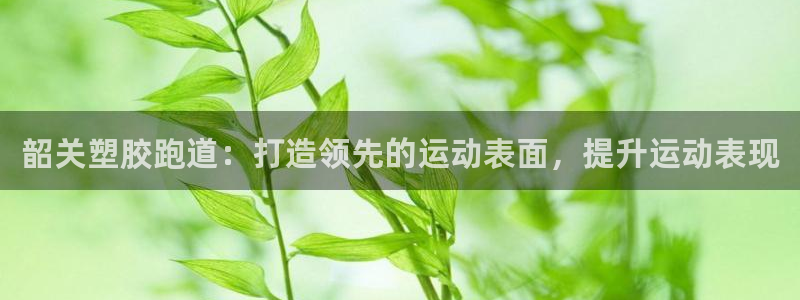 国际凯时ag优质运营商：韶关塑胶跑道：打造领先的运动