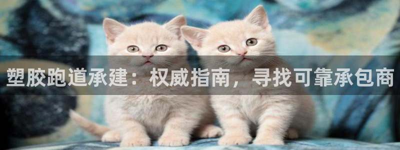 尊龙人生就是博网站下载：塑胶跑道承建：权威指南，寻找