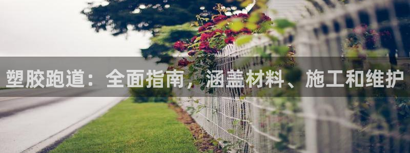 尊龙人生就是博中国区：塑胶跑道：全面指南，涵盖材料、施工和维护