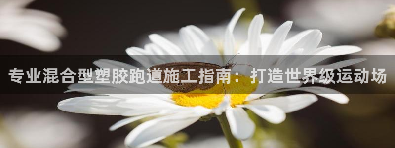尊龙/人生就是博：专业混合型塑胶跑道施工指南：打造世界级运动场