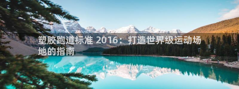 尊龙官网登录·(中国)官方网站-bd SPORTS：塑胶跑道标准 2016：打造世界级运动场
地的指南