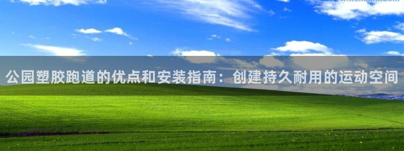 尊龙t300和t400哪个好：公园塑胶跑道的优点和安装指南：创建持久耐用的运动空间