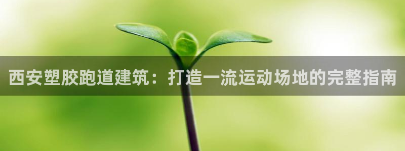 尊龙凯时旗舰厅官网：西安塑胶跑道建筑：打造一流运动场地的完整指南