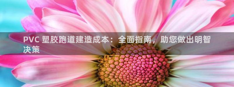 尊龙官方网站首页：PVC 塑胶跑道建造成本：全面指南