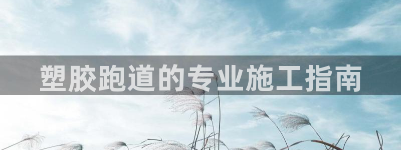 尊龙新版App下载：塑胶跑道的专业施工指南