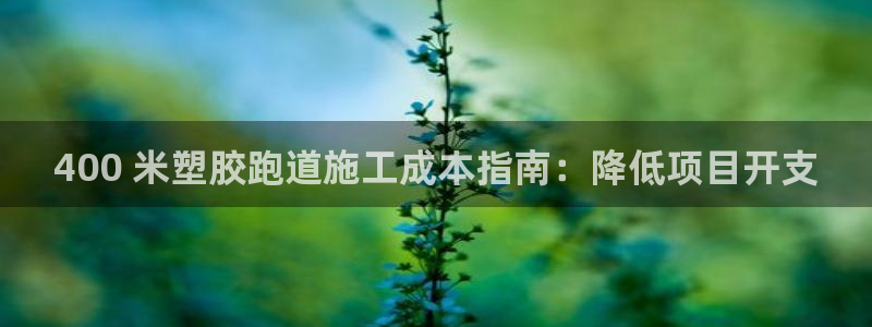 尊龙凯时：400 米塑胶跑道施工成本指南：降低项目开