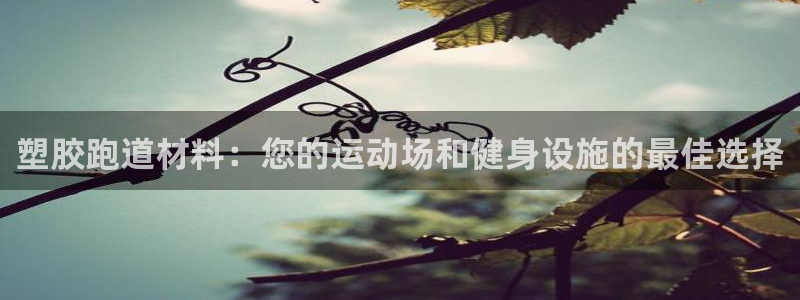 凯时官网：塑胶跑道材料：您的运动场和健身设施的最佳选