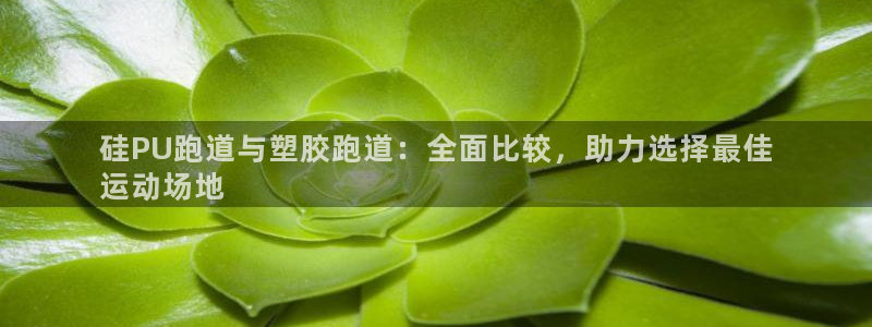 尊龙d88现金关注ag发财网：硅PU跑道与塑胶跑道：全面比较，助力选择最佳
运动场地