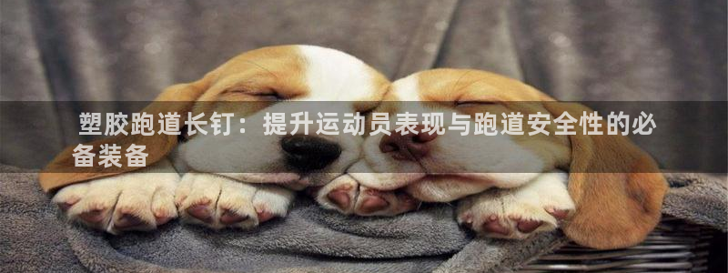 尊龙中国： 塑胶跑道长钉：提升运动员表现与跑道安全性