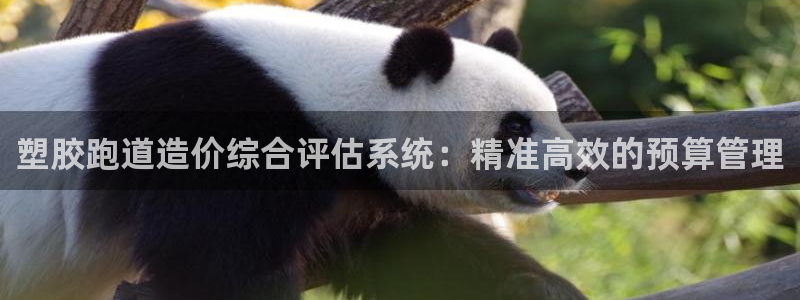 尊龙z6.con：塑胶跑道造价综合评估系统：精准高效的预算管理