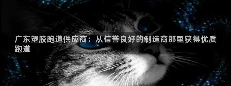 尊龙凯时提款一直审核中：广东塑胶跑道供应商：从信誉良